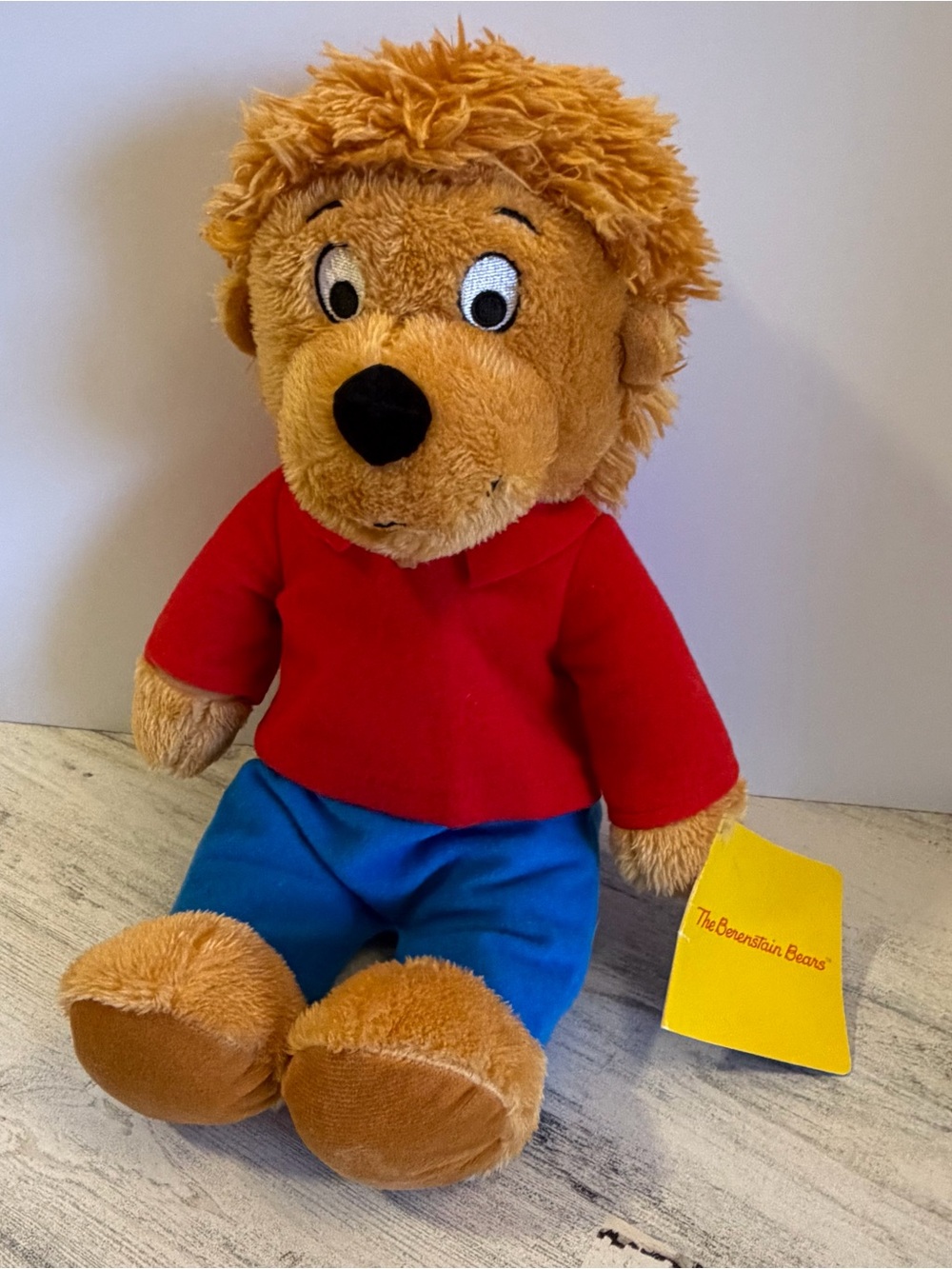The Berenstain Bears Brother Bear Kohl's Cares NEW